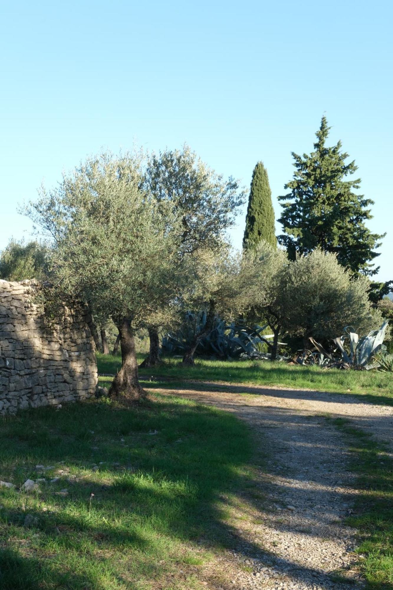 Gites Au Domaine De Baubiac Corconne Exterior foto